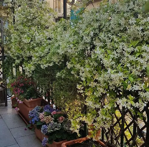 Penzion La Terrazza San Salvario